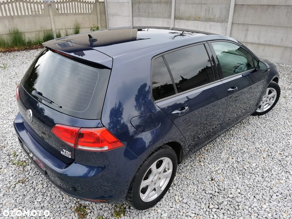 Volkswagen Golf - 25
