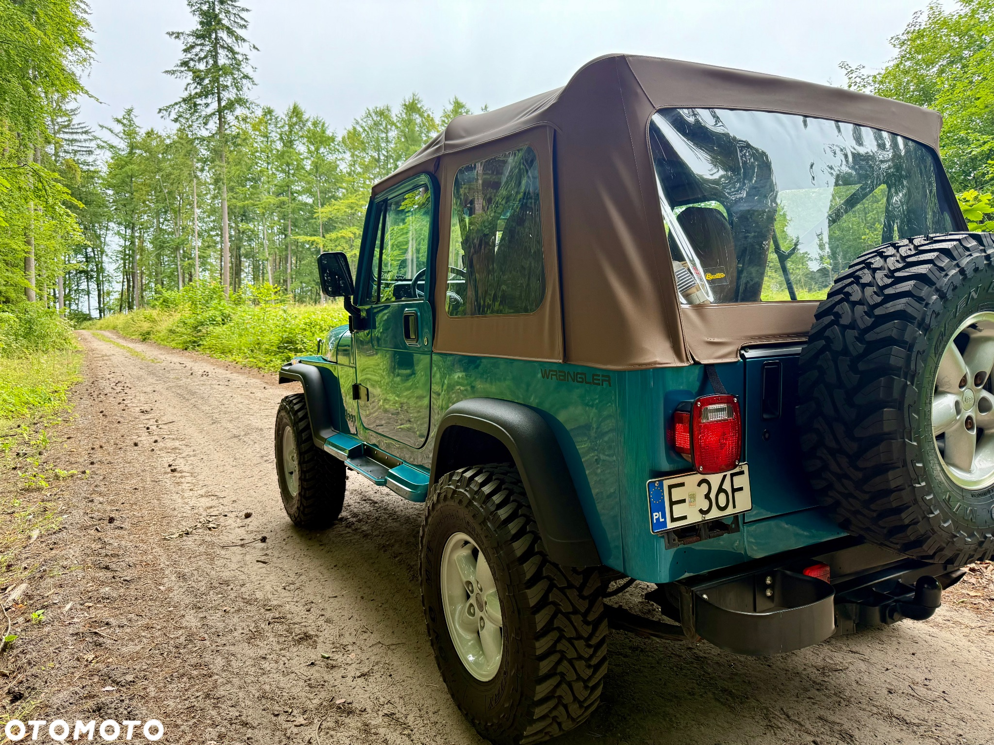 Jeep Wrangler 4.0 - 19