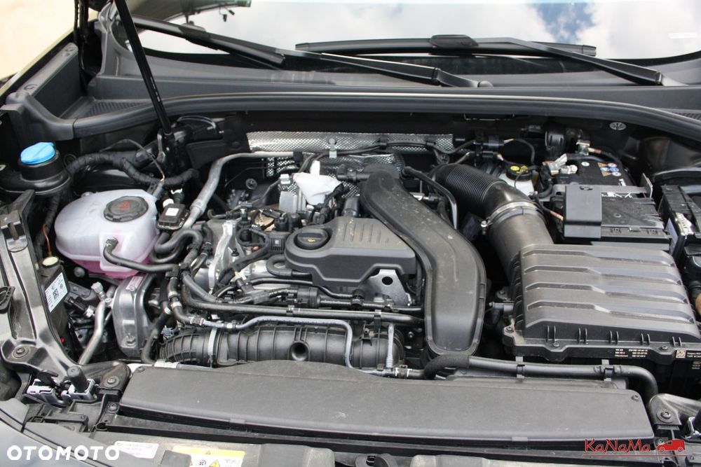 Cupra Terramar - 25