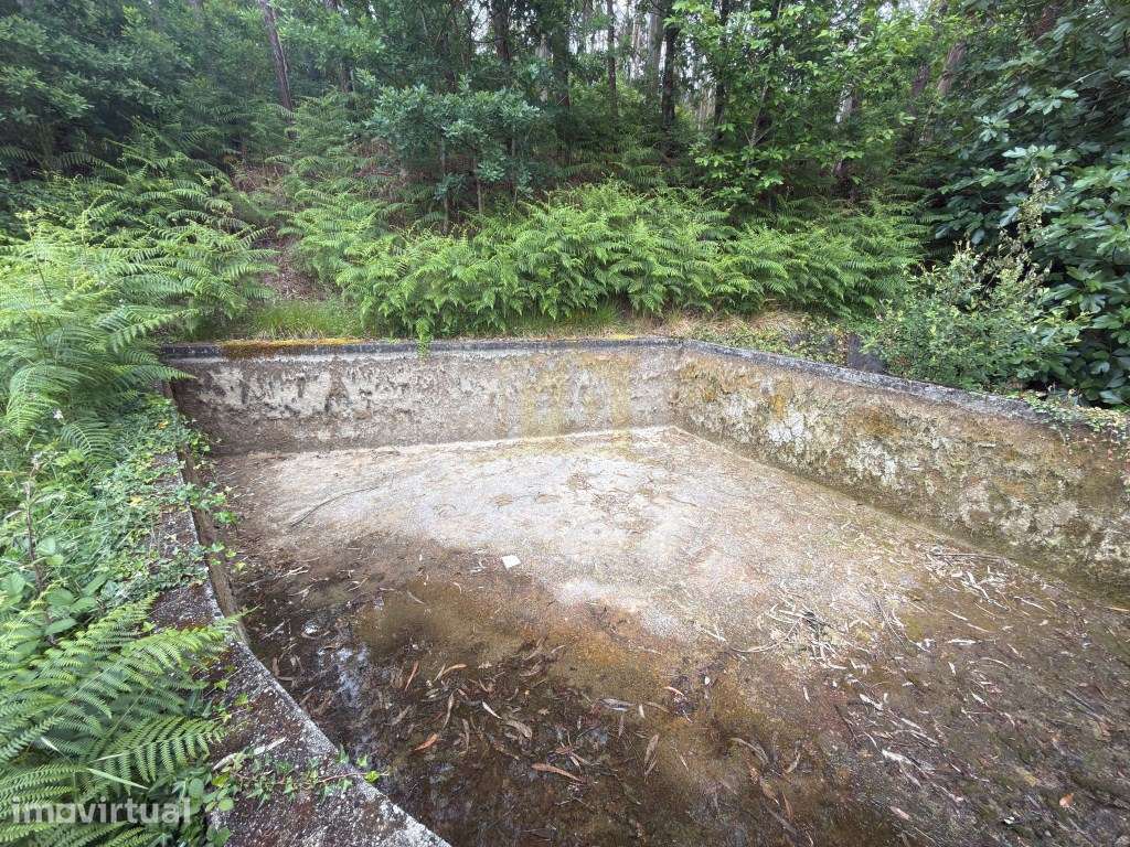 Terreno Florestal e Agrícola com Água Própria | Plano e com Bons Ac... - Grande imagem: 2/23