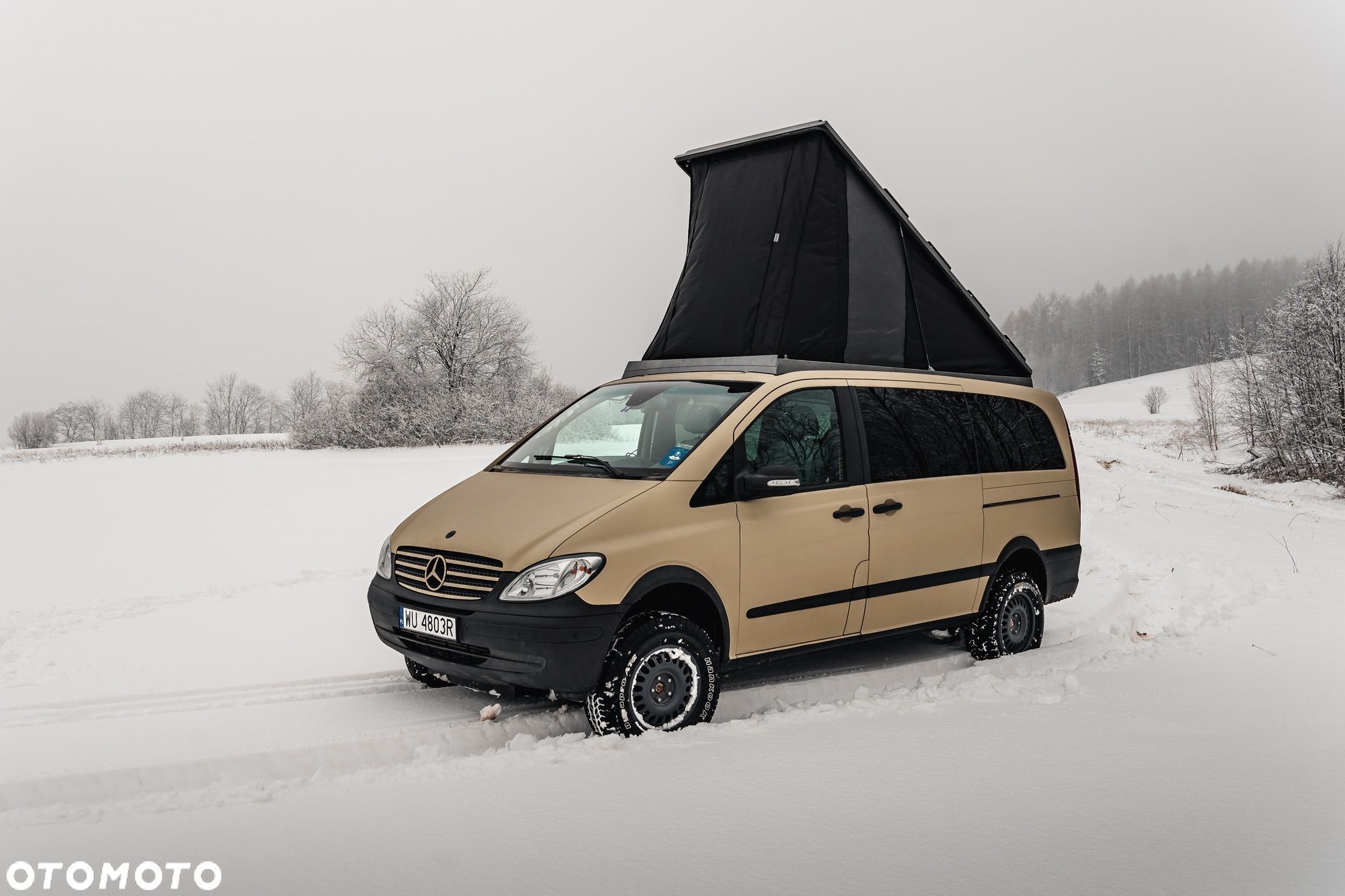 Mercedes-Benz Viano - 1