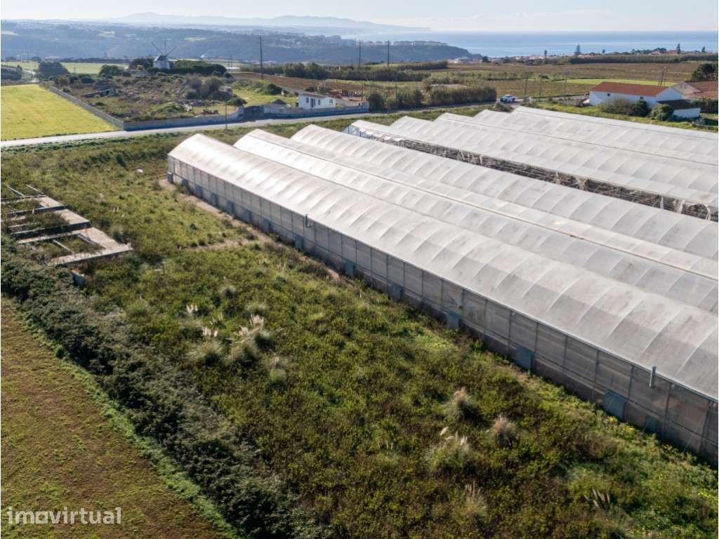 Terreno com 4,750 ha com vista sobre o mar em Ribamar na Ericeira - Grande imagem: 3/22