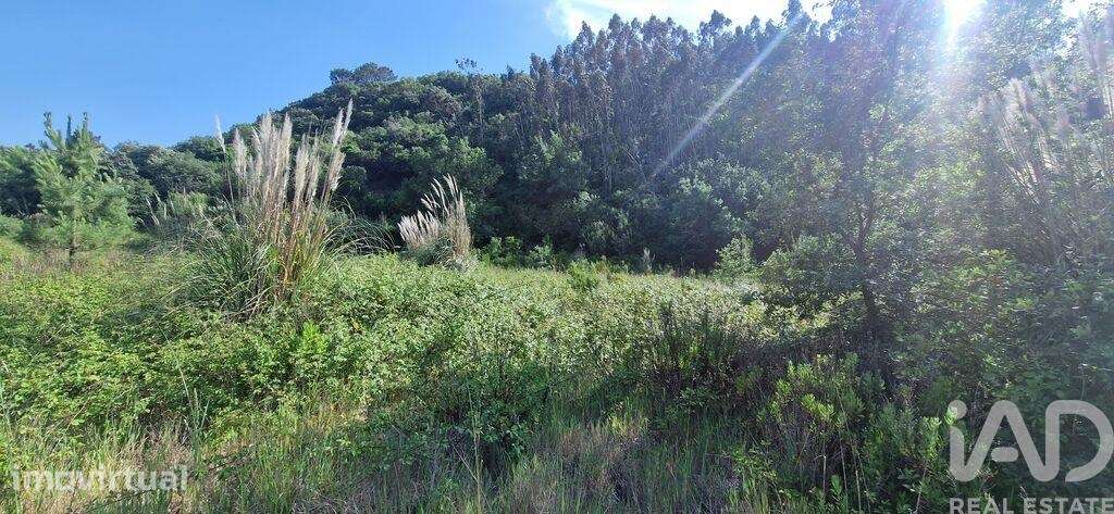 Terreno Agrícola em Azueira e Sobral da Abelheira - Grande imagem: 4/23