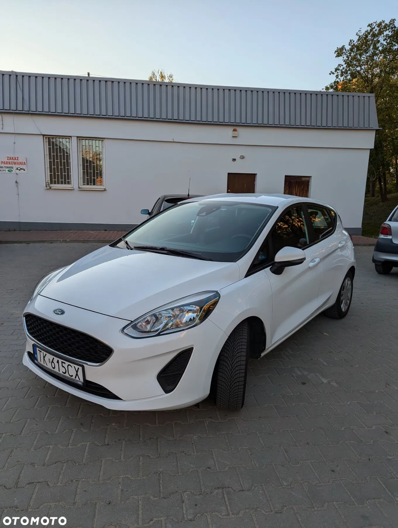 Ford Fiesta - 1
