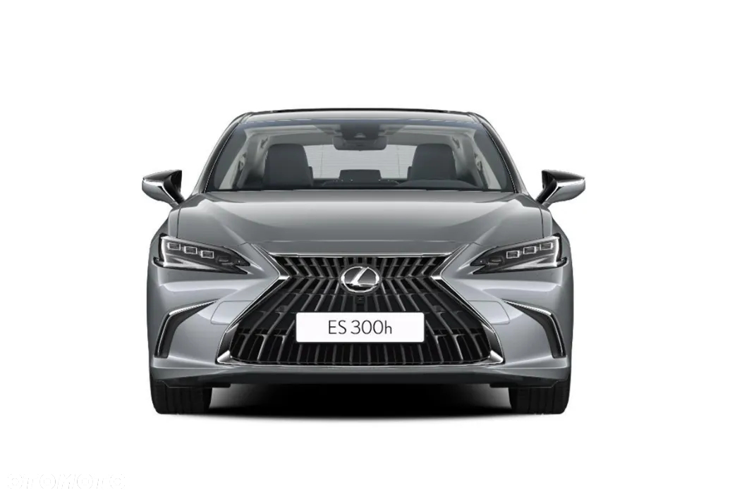 Lexus ES 300h Omotenashi - 2