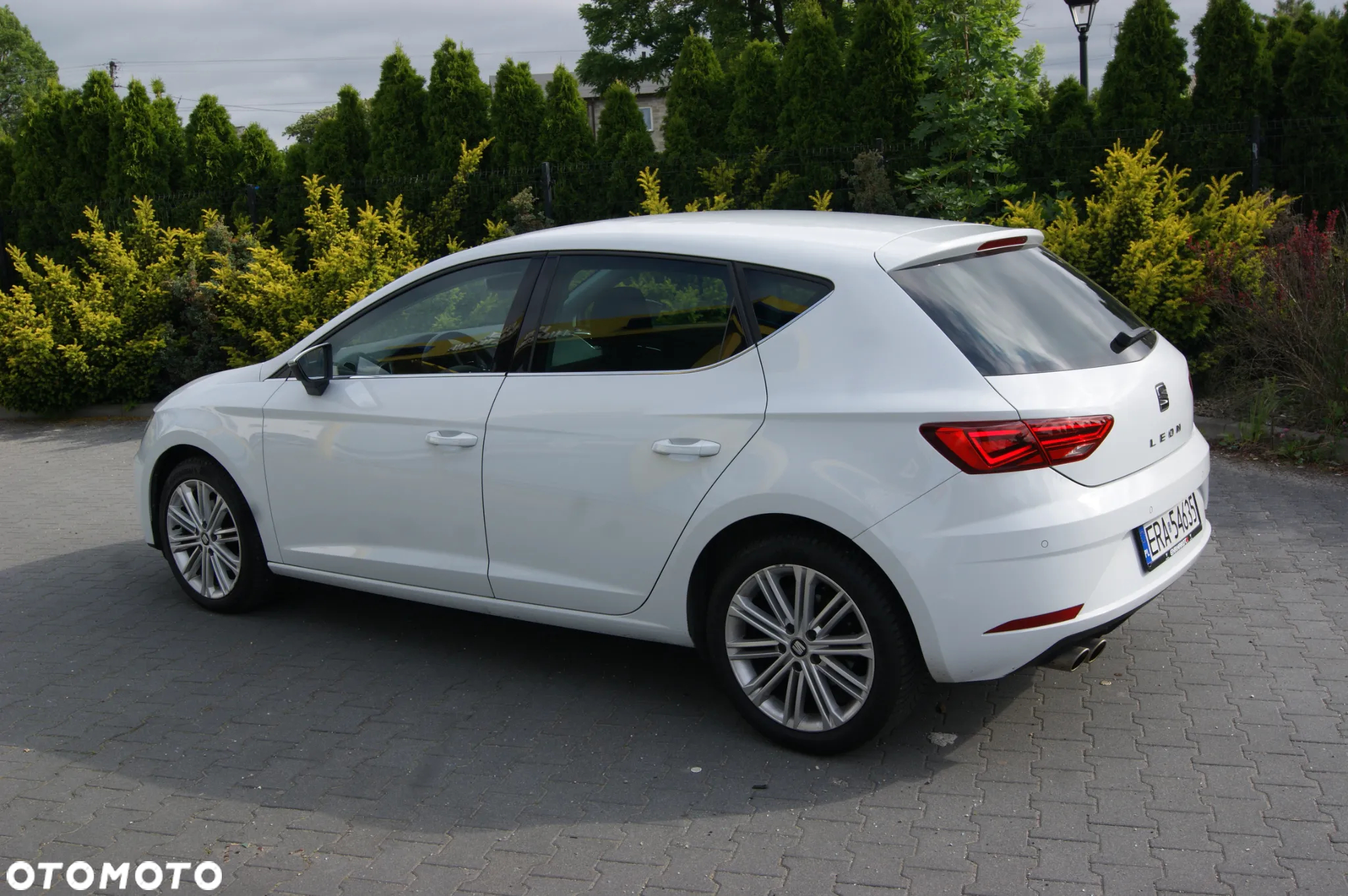 Seat Leon 1.5 TSI ACT OPF Xcellence Plus - 5