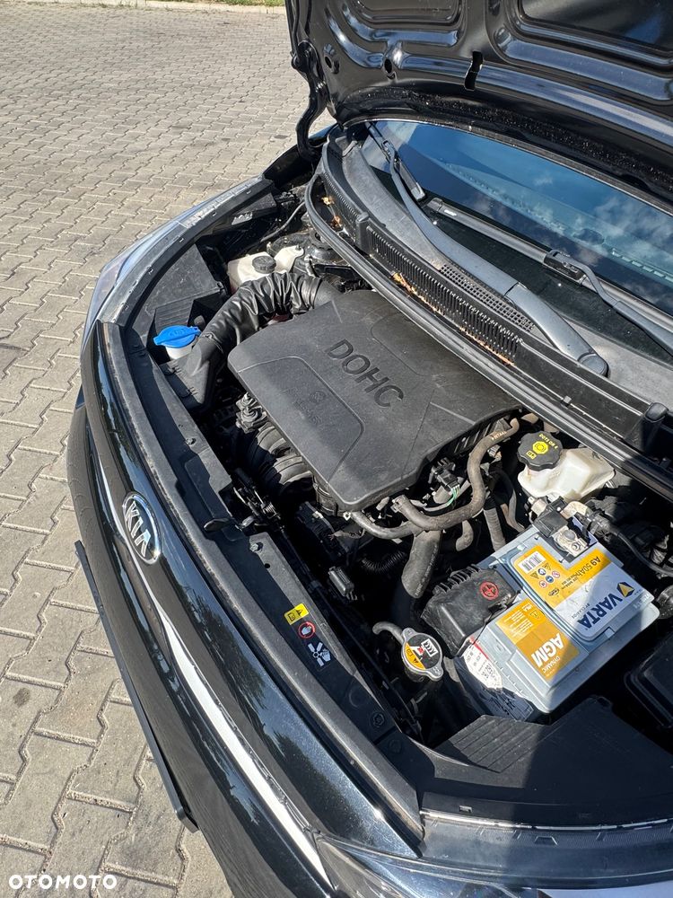 Kia Picanto 1.0 L - 24