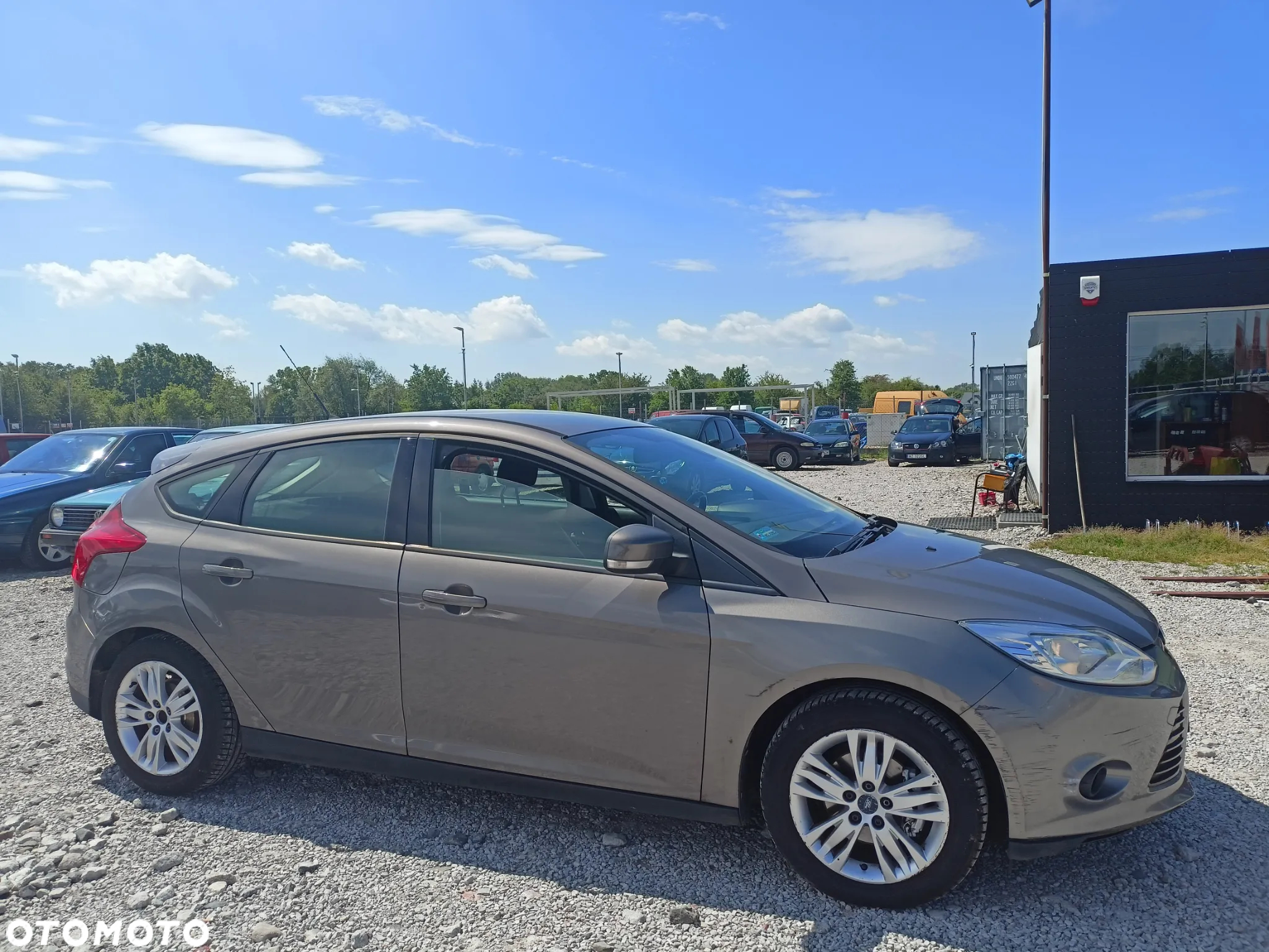 Ford Focus - 6