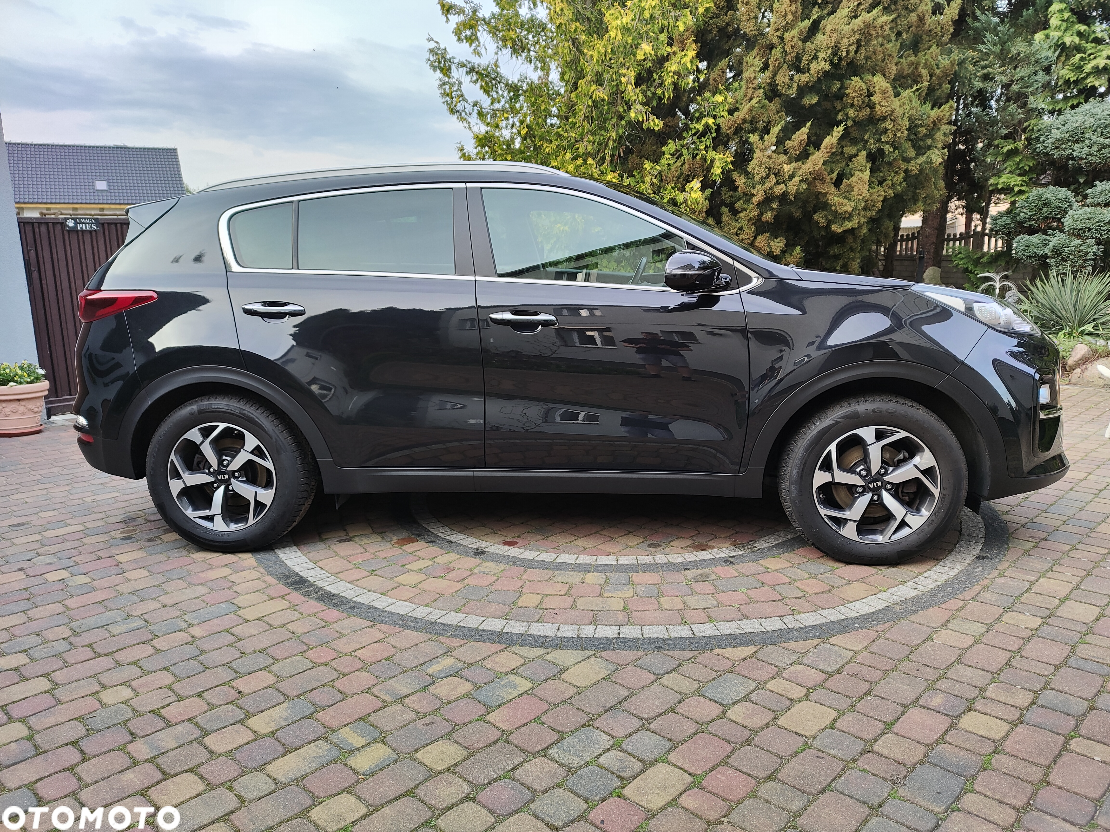 Kia Sportage 1.6 GDI L Business Line 2WD - 4