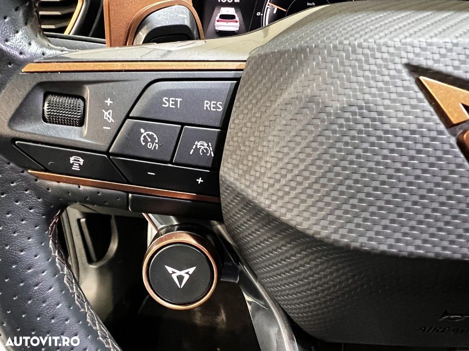 Cupra Formentor - 13