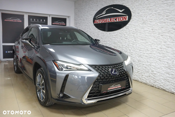 Lexus UX 300e 54.3 kWh Prestige 2WD