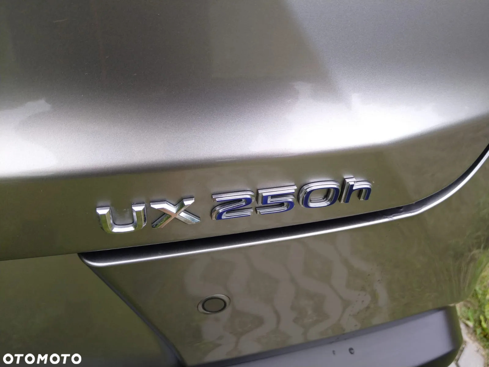 Lexus UX 250h GPF Business Edition AWD - 8