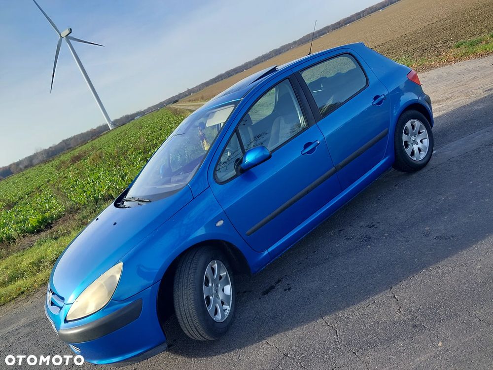 Peugeot 307 1.6 - 3