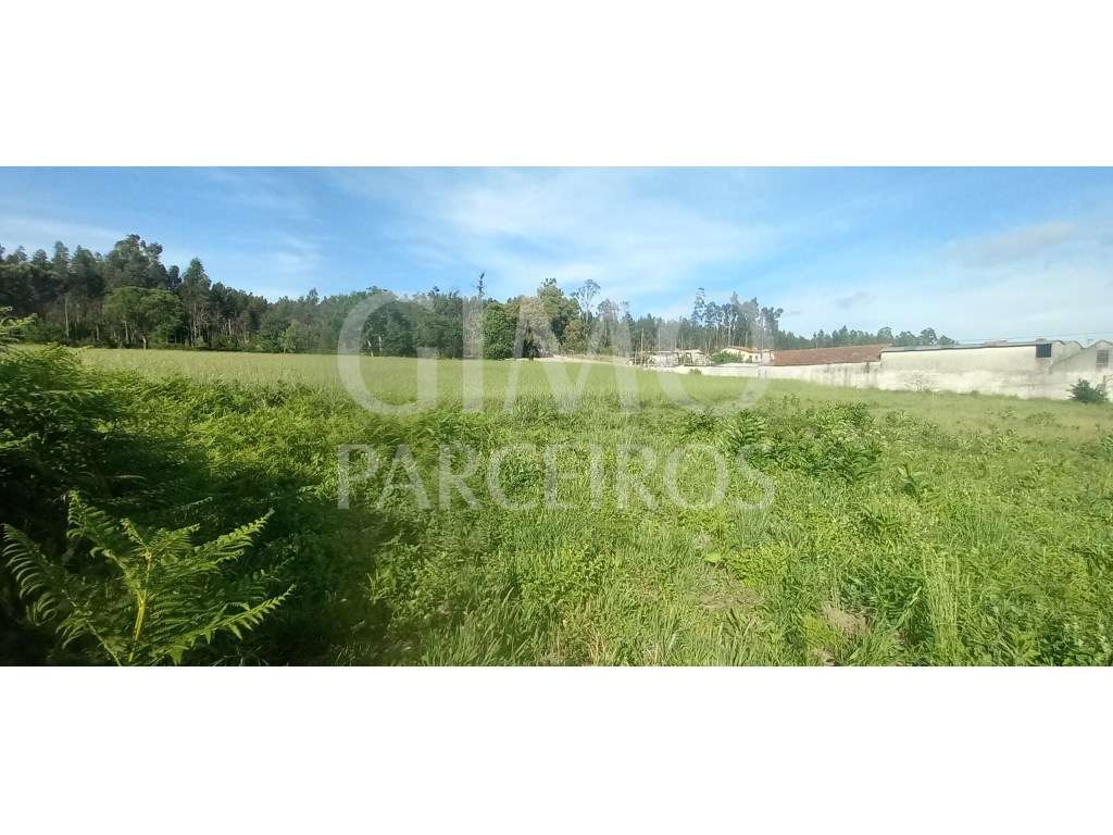 Terrenos para venda perto de Aveiro - Grande imagem: 4/8