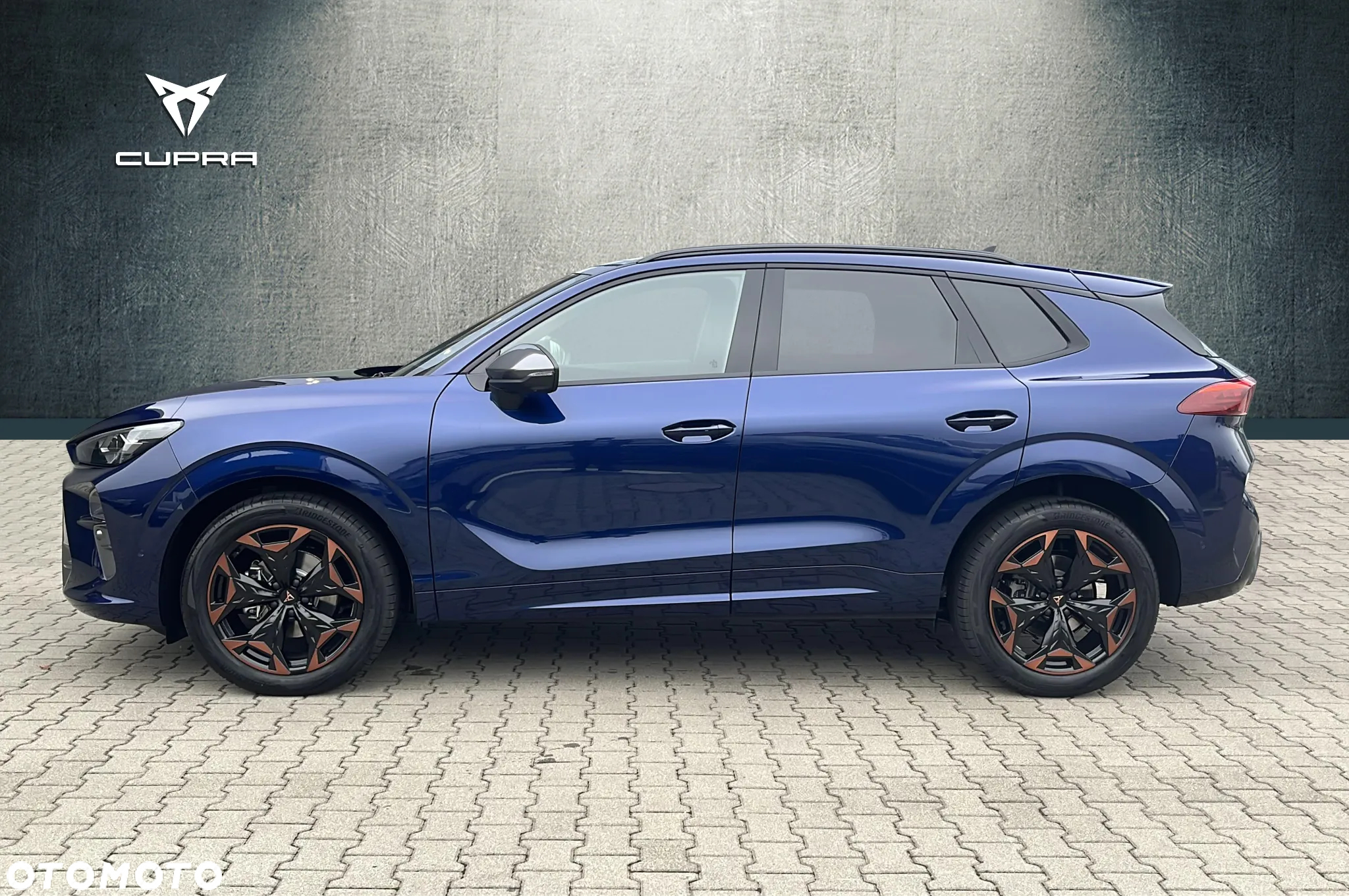 Cupra Terramar 2.0 TSI 4Drive DSG - 2