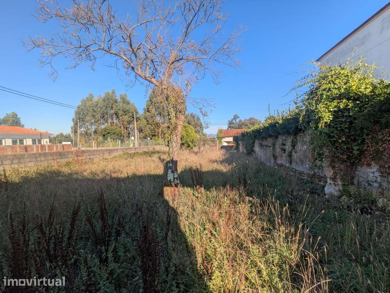 Terreno com 1700 m2 3m Oiã - Oliveira do Bairro- Excelente Localização - Grande imagem: 5/5