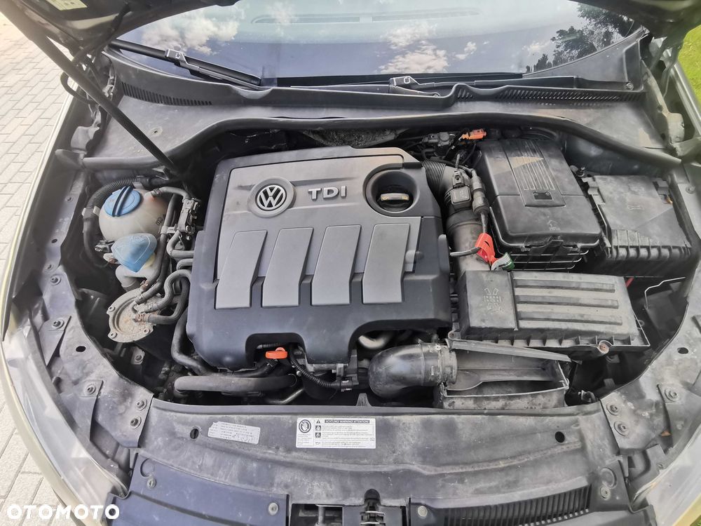Volkswagen Golf - 8