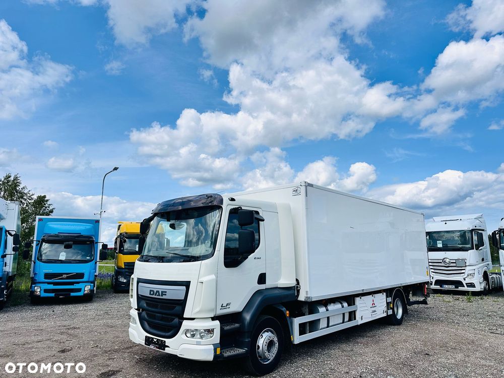 DAF LF 290 / CHŁODNIA  / DMC 16000kg - 1