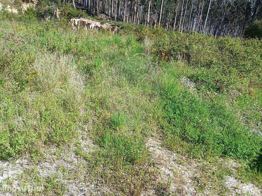 Terreno  para venda - Grande imagem: 2/7