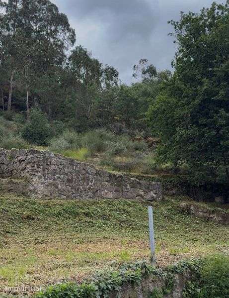 Venda de terreno 2800m2  Baltar - Grande imagem: 4/6