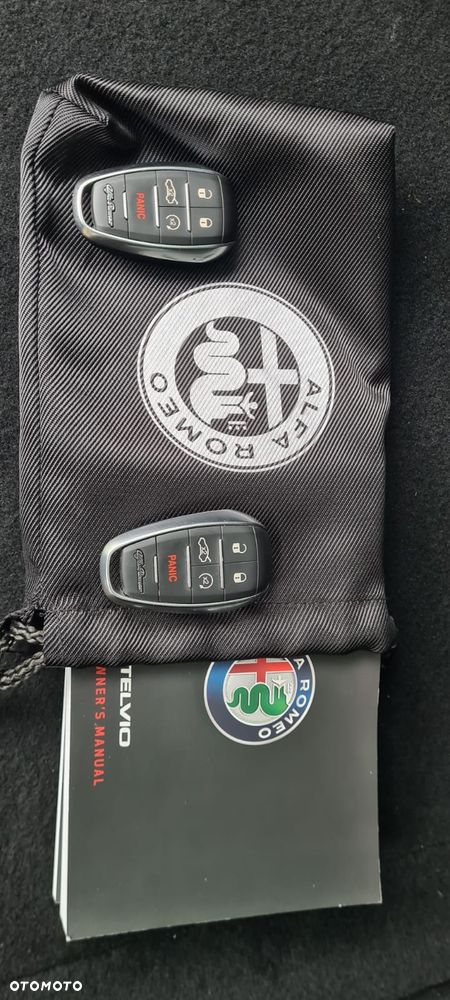 Alfa Romeo Stelvio 2.0 Turbo TI Q4 - 23