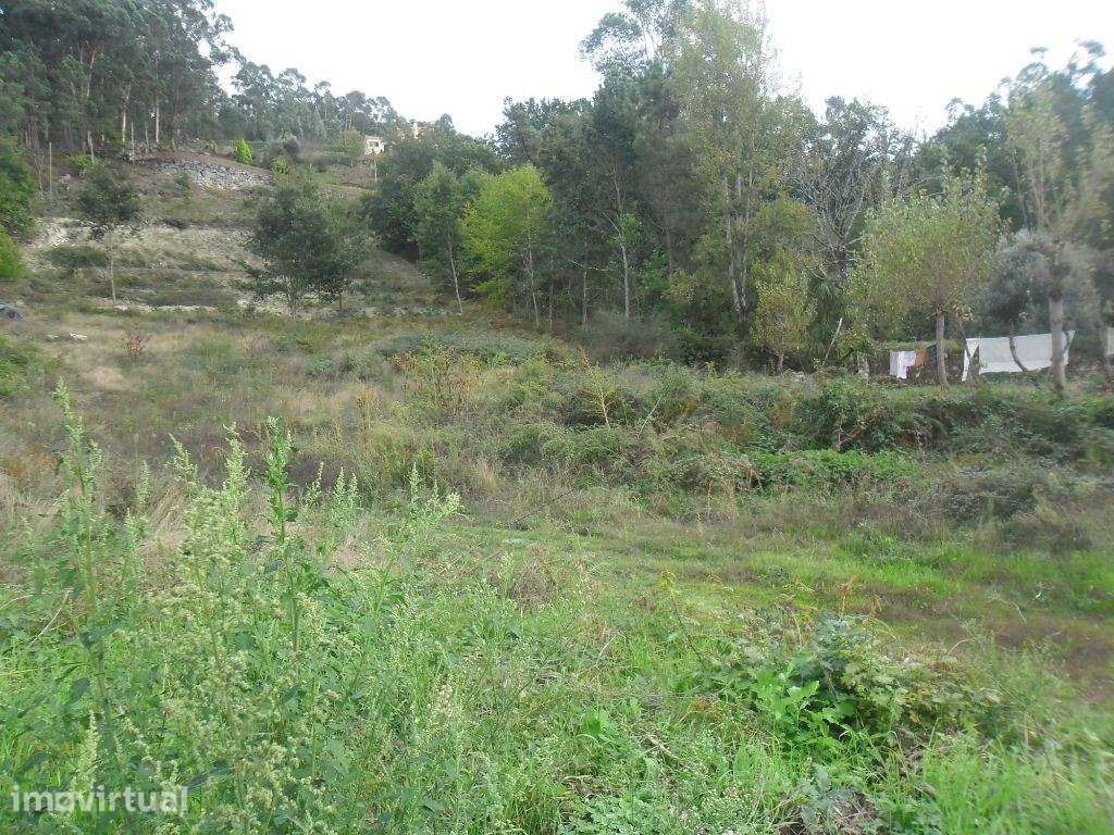 Terreno para Construção - Amarante ( Figueiró) - Grande imagem: 4/9