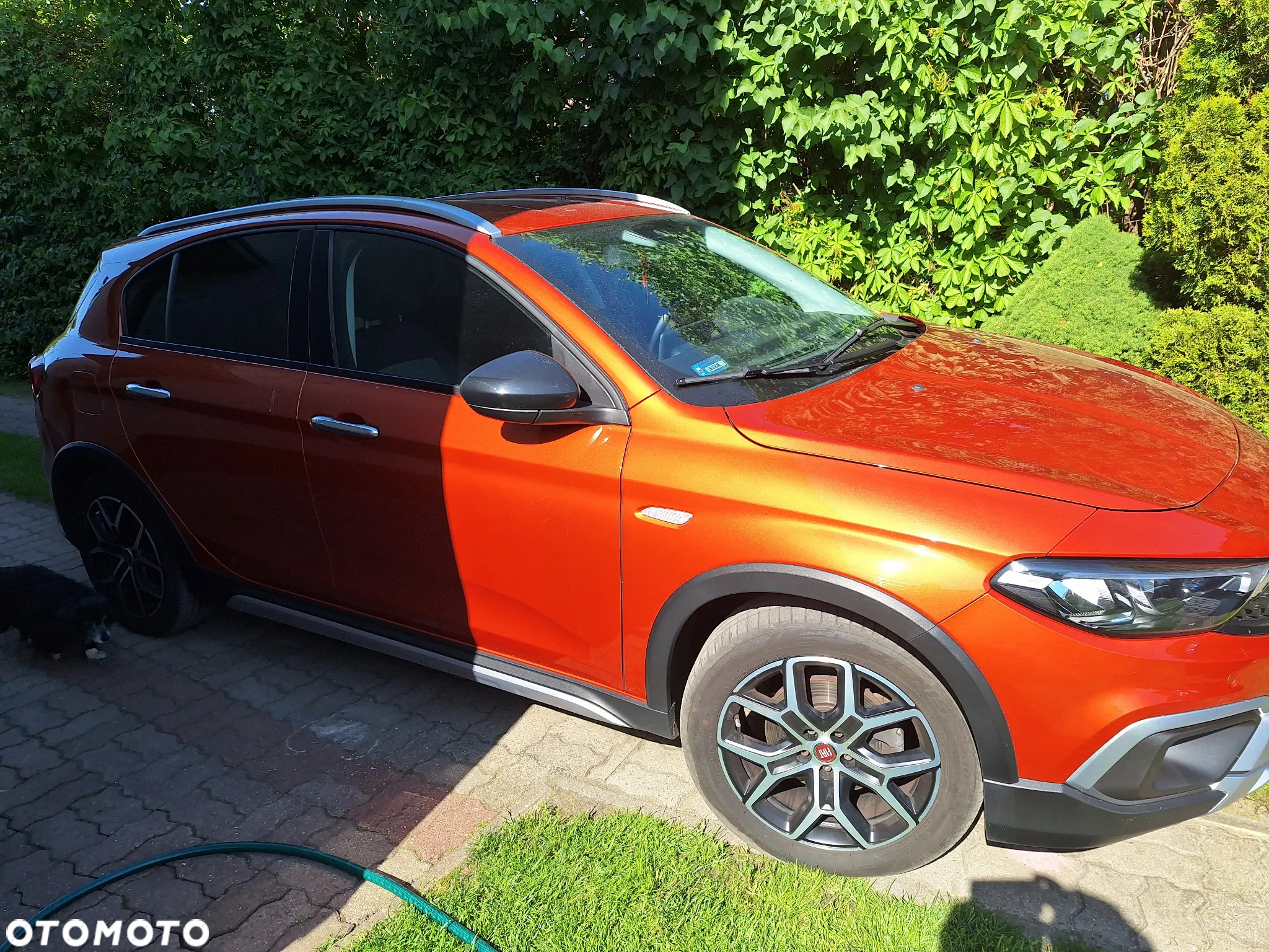 Fiat Tipo 1.6 MultiJet Cross - 2