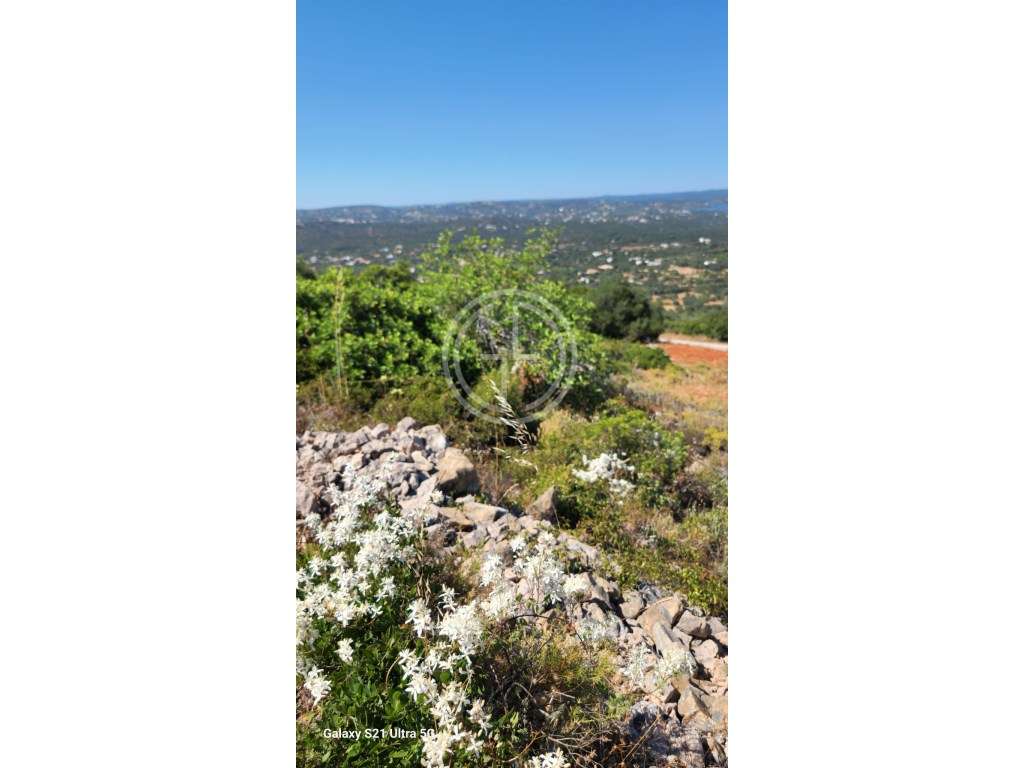 Terreno Rustico com 8440 m em Santa Barbara de Nexe, Faro - Grande imagem: 5/11