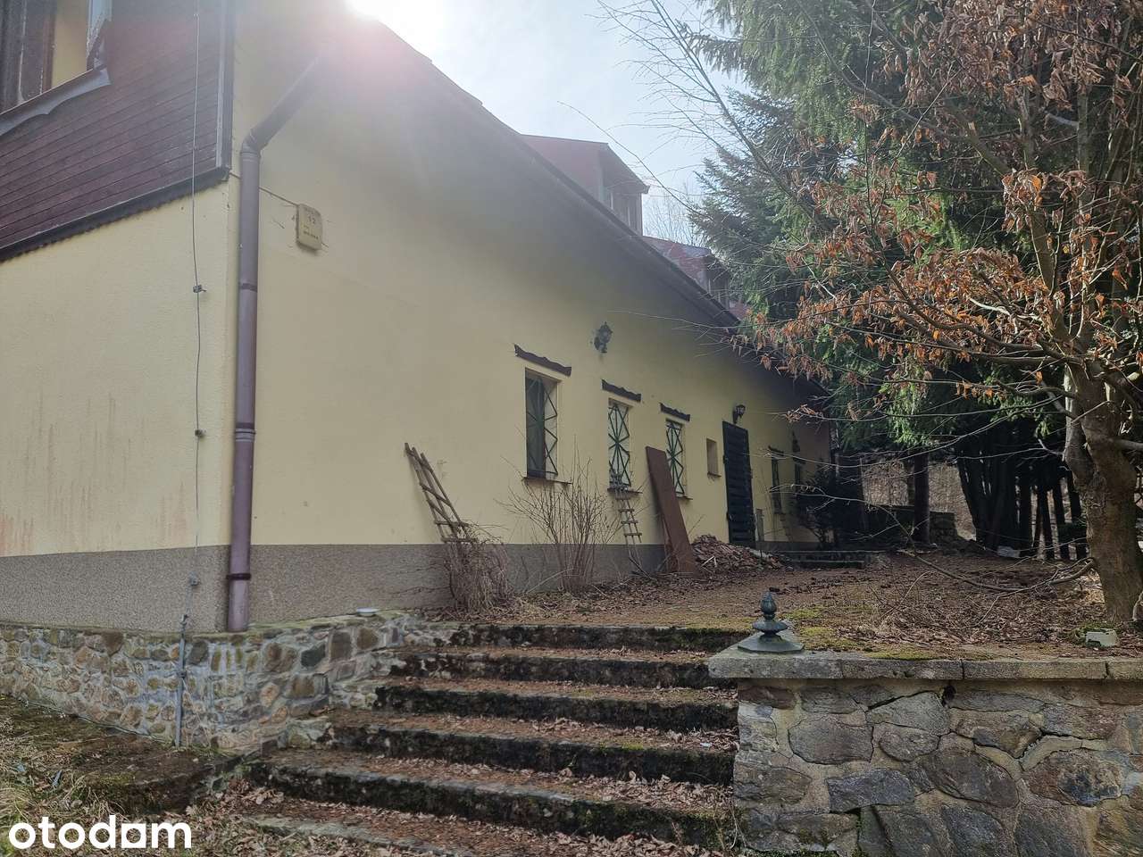 Działka siedliskowa 9300 m² zabudowana z mediami i ogrodzeniem. - Pełny obrazek: 3/14