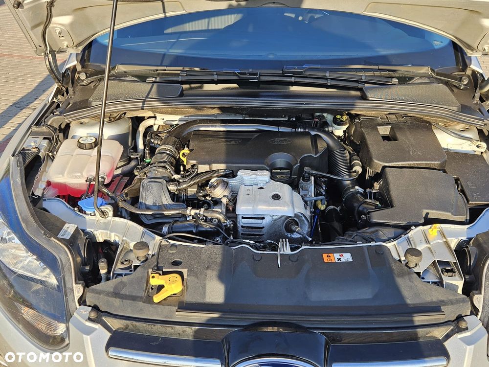 Ford Focus - 5