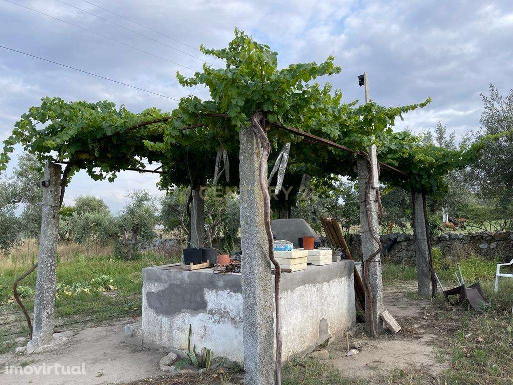 Excelente Terreno em Santa Eulalia/Elvas - Grande imagem: 3/11