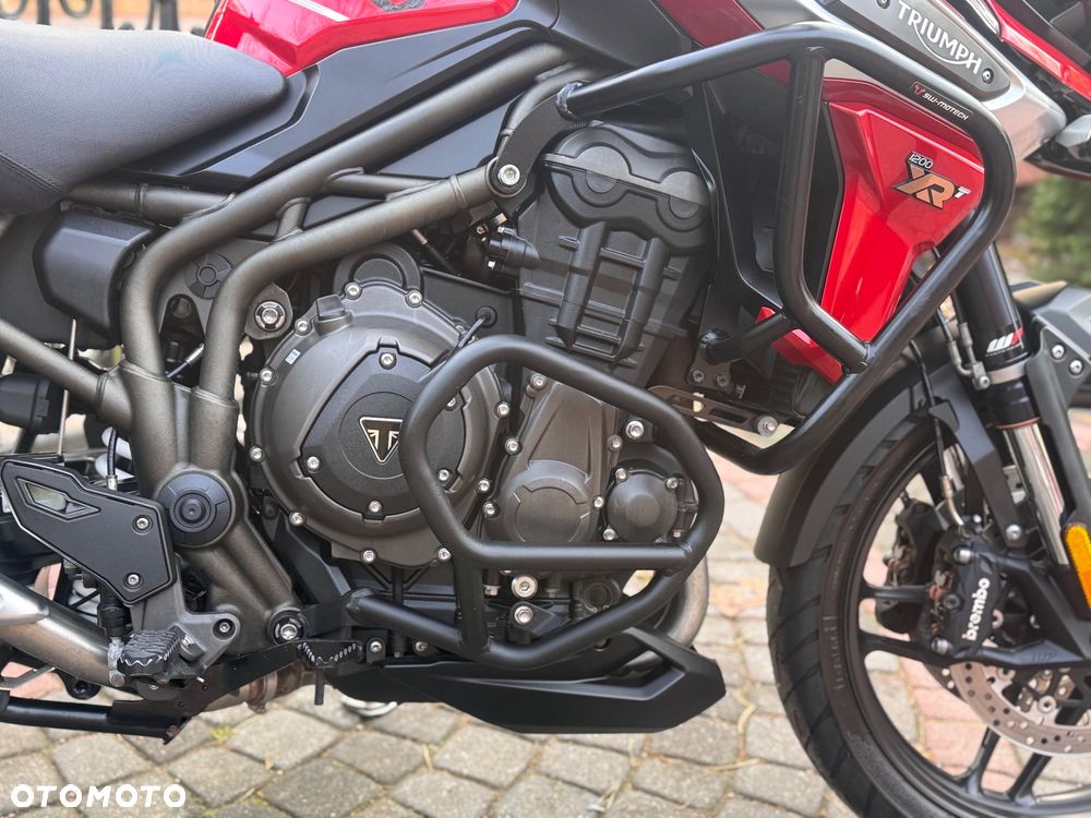 Triumph Tiger - 13