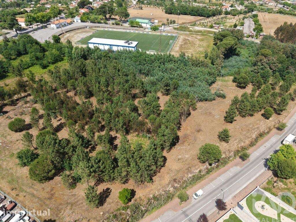 Terreno Agrícola em Carregal do Sal - Grande imagem: 5/10