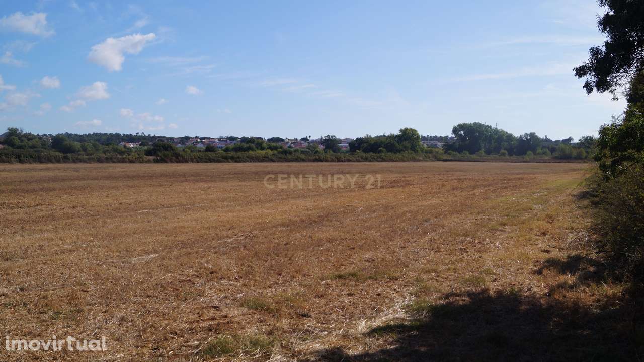 Terreno Agrícola à Venda – Brescos - Grande imagem: 4/30