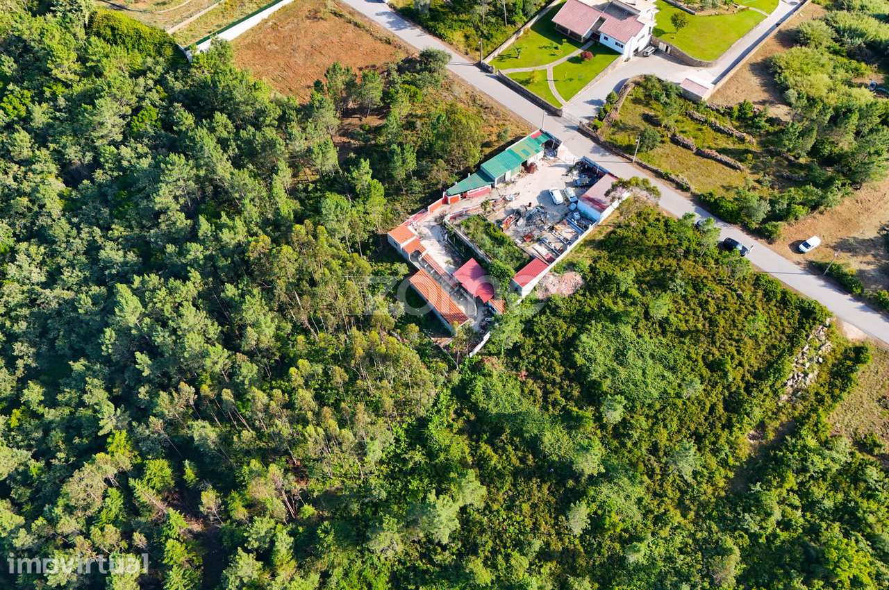 Terreno com 4.800 m² em Vale de Cântaro, Coimbra - Grande imagem: 4/15