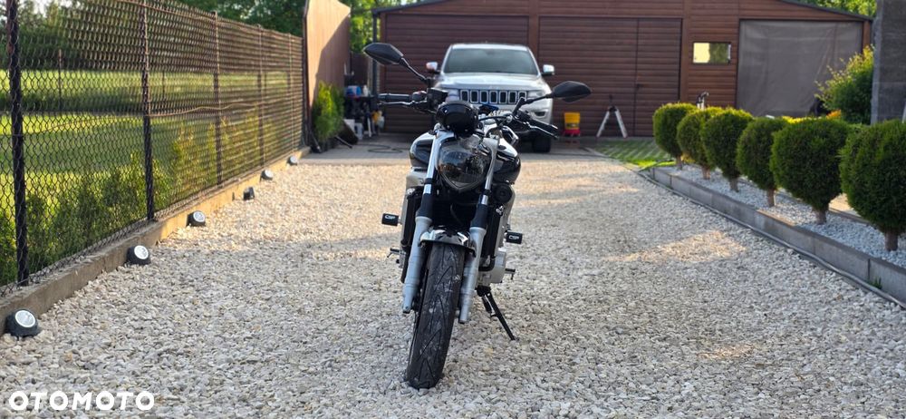 Yamaha FZ6 - 3