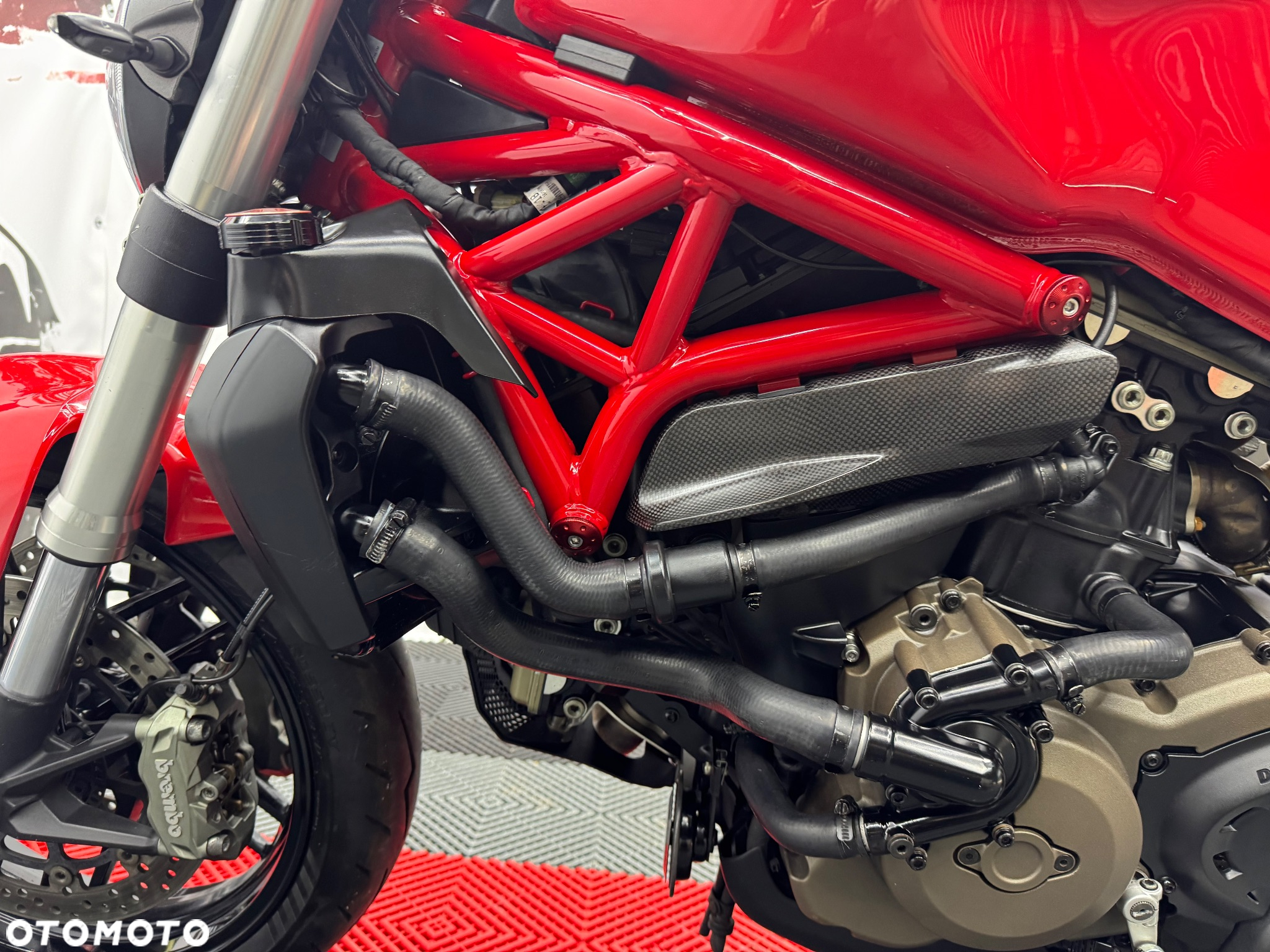 Ducati Monster - 19