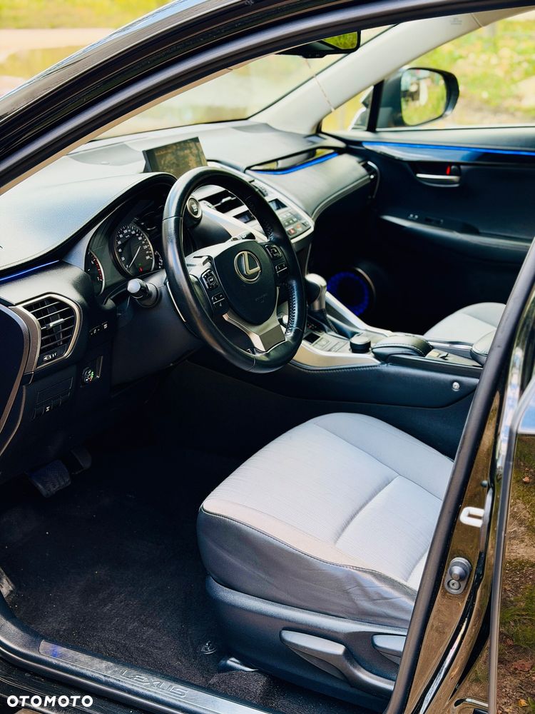 Lexus NX - 10