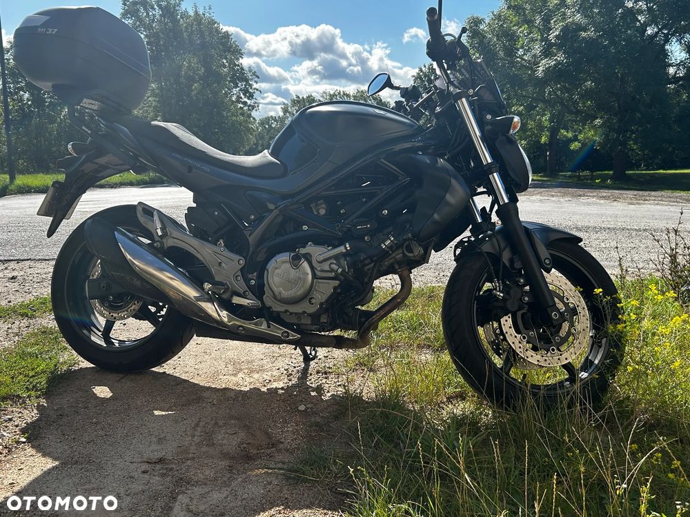 Suzuki Gladius - 5