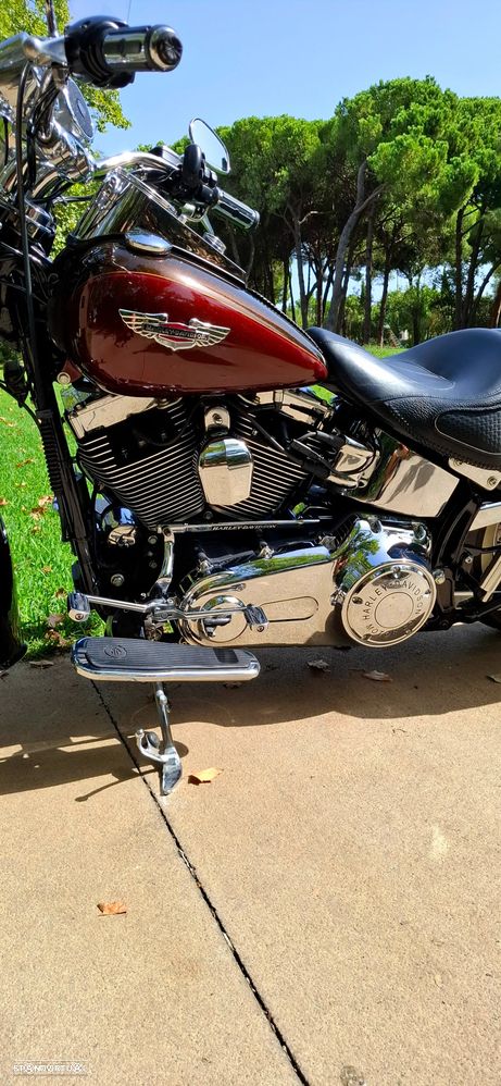 Harley-Davidson FLSTS Softail Deluxe - 8