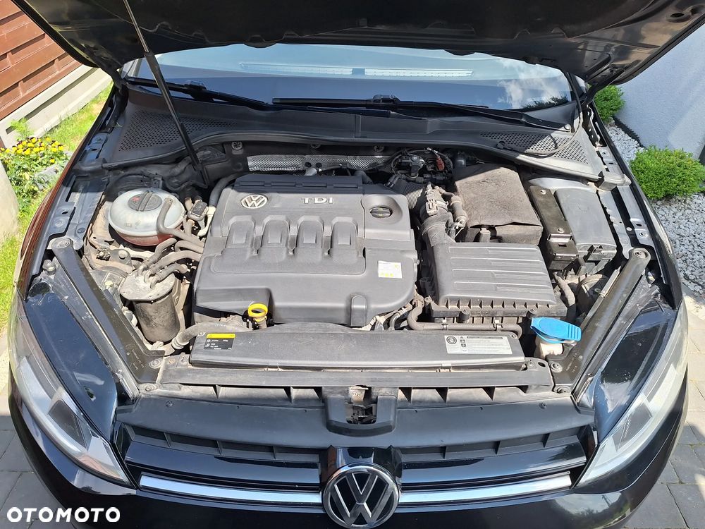 Volkswagen Golf VII 1.6 TDI BlueMotion Trendline - 7