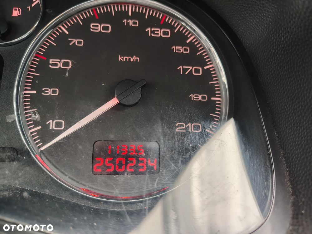Peugeot 307 - 8