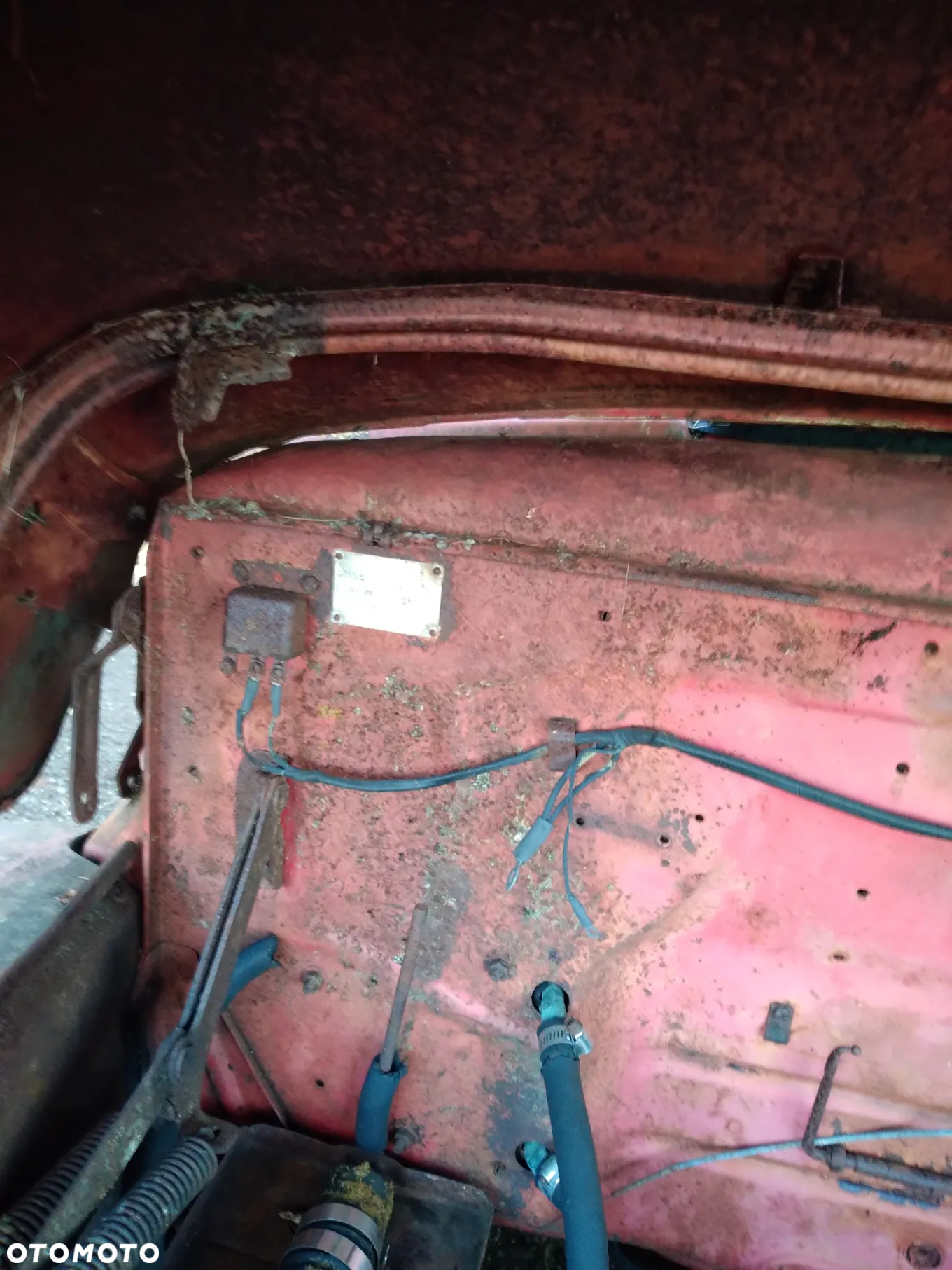 Ford Inny - 21