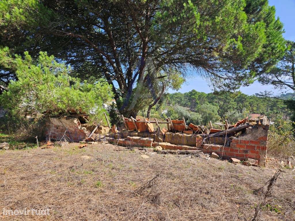 Excelente oportunidade de investimento! - Grande imagem: 5/7