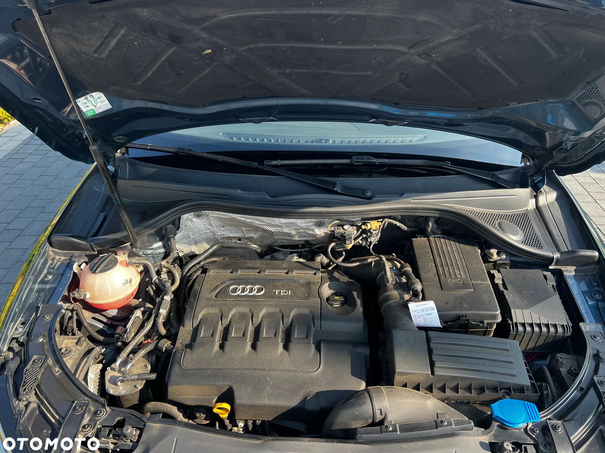 Audi Q3 - 15