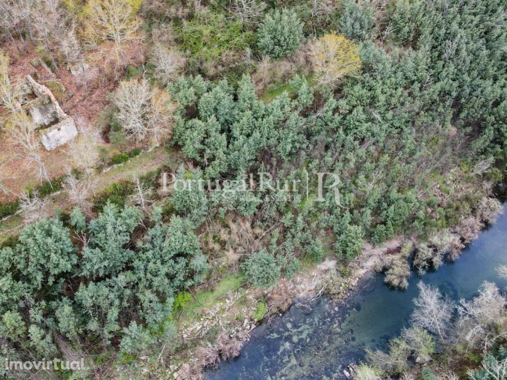 Quintinha confinante com o rio em Avô - Grande imagem: 2/35