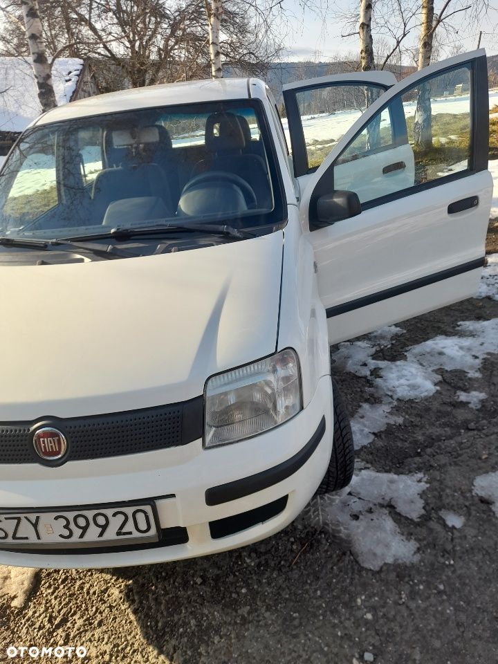 Fiat Panda 1.2 4x4 - 1