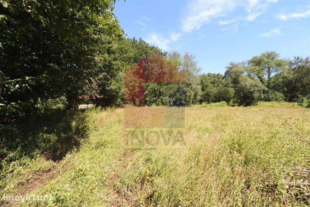 Terreno agrícola, Fiscal - Grande imagem: 5/32