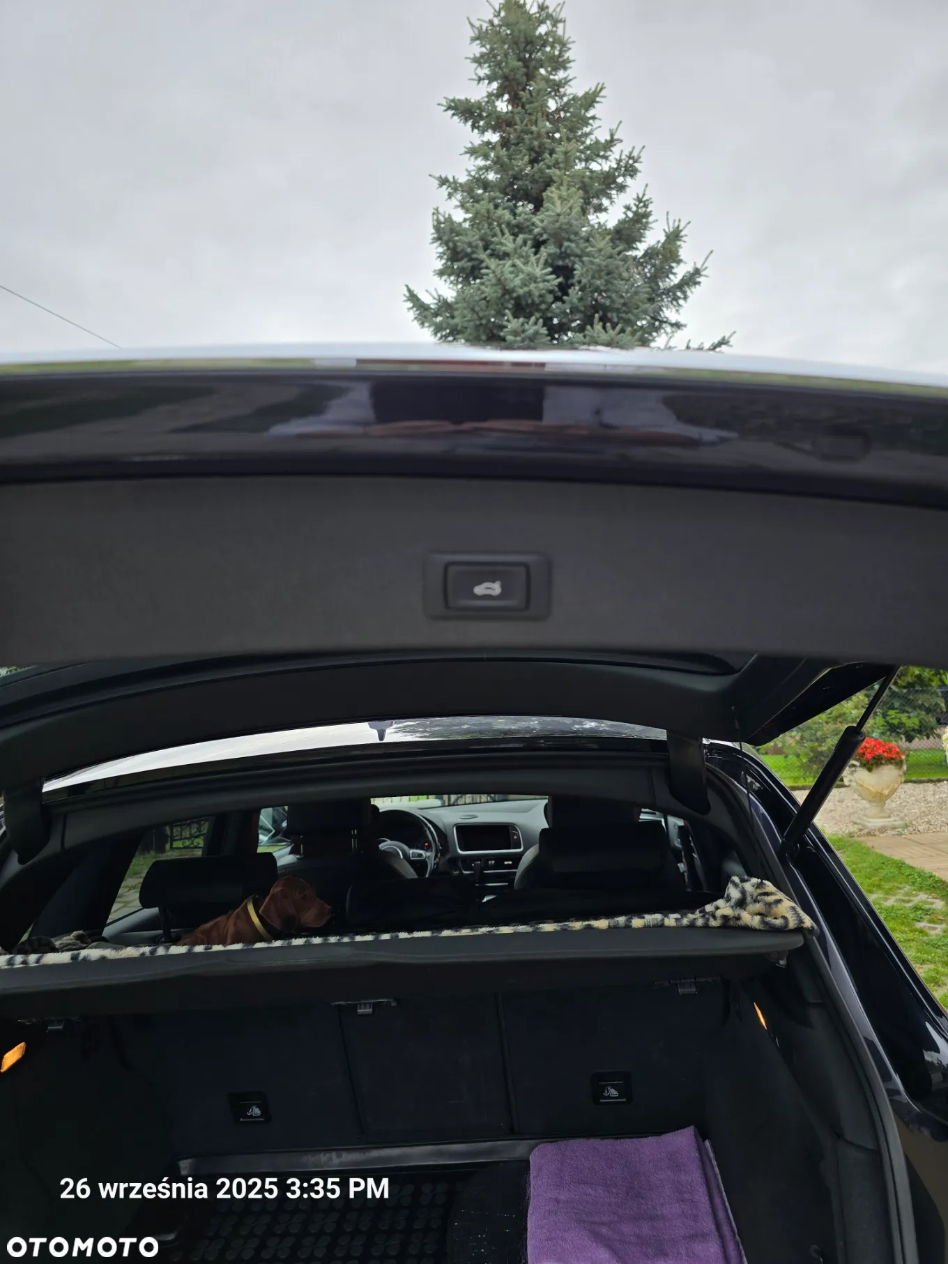 Audi Q5 2.0 TFSI Quattro Tiptronic - 24