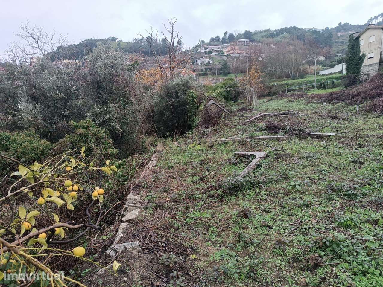 Terreno Exclusivo com Vista Rio Douro e Elevado Potencial de Construçã - Grande imagem: 3/29
